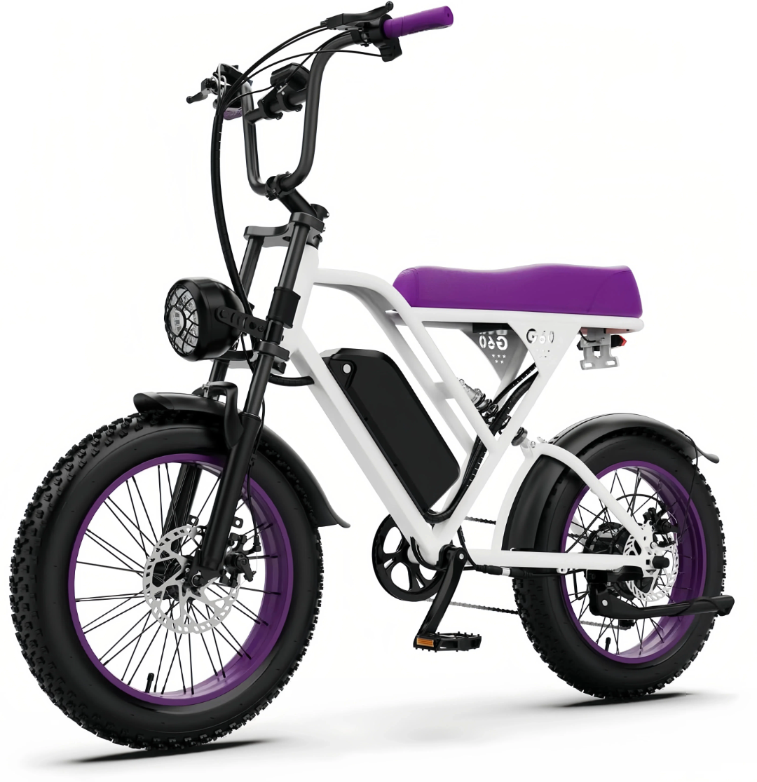 Foldable 250W E-Scooter